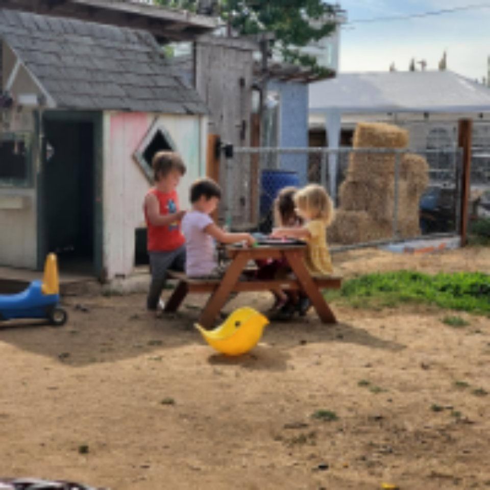 Children playing together outside near the playhouse at Hawthorn Circle Childcare & Preschool.