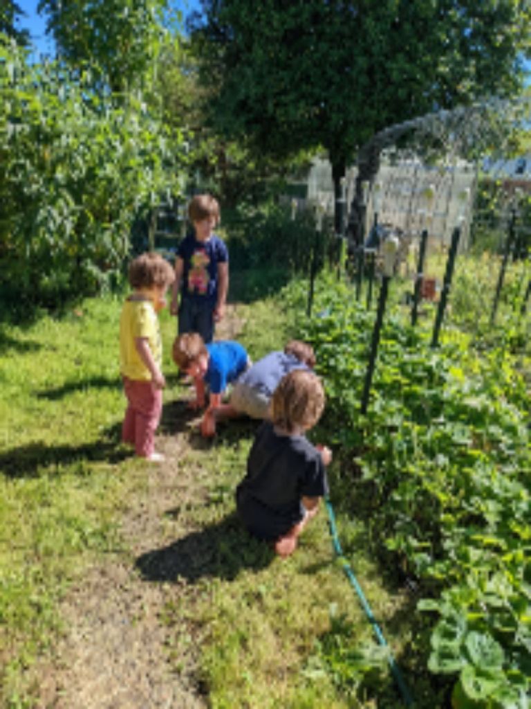 Children exploring and helping in the garden at Hawthorn Circle